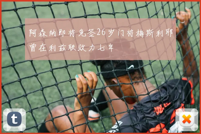 阿森纳即将免签26岁门将梅斯利耶曾在利兹联效力七年